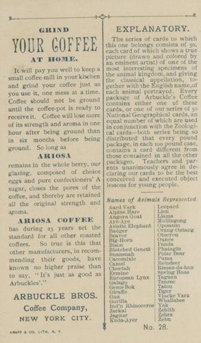 1890 Arbuckle's Coffee Animals (Zoological) (K1) #28 Phatagin Back
