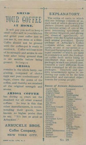 1890 Arbuckle's Coffee Animals (Zoological) (K1) #29 Taguan Back