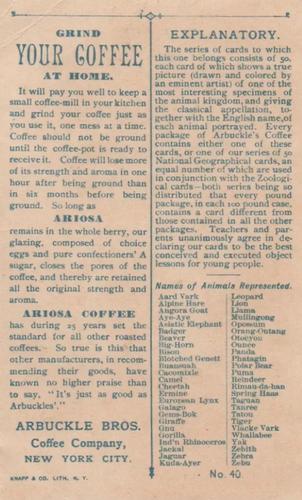 1890 Arbuckle's Coffee Animals (Zoological) (K1) #40 Aye-Aye Back