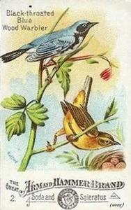 1886 Beautiful Birds of America (J1) #2 Black-throated Blue Wood Warbler Front