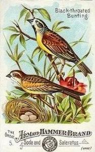 1886 Beautiful Birds of America (J1) #5 Black-throated Bunting Front