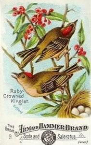 1886 Beautiful Birds of America (J1) #9 Ruby-crowned Kinglet Front