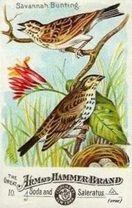 1886 Beautiful Birds of America (J1) #10 Savannah Bunting Front