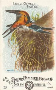 1886 Beautiful Birds of America (J1) #23 Barn or Chimney Swallow Front