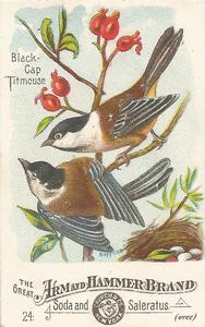 1886 Beautiful Birds of America (J1) #24 Black-Cap Titmouse Front