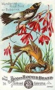 1886 Beautiful Birds of America (J1) #34 Wandering Rice Bird or Bob-o-link Front