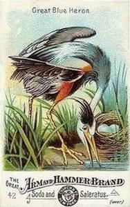 1886 Beautiful Birds of America (J1) #42 Great Blue Heron Front
