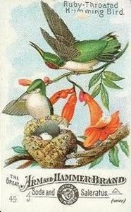 1886 Beautiful Birds of America (J1) #49 Ruby-throated Hummingbird Front