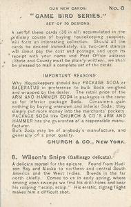 1904 Church & Co. Game Bird Series (J3) #8 Wilson's Snipe Back