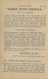 1904 Church & Co. Game Bird Series (J3) #10 California Quail Back