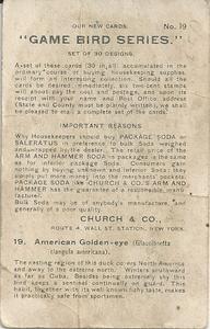 1904 Church & Co. Game Bird Series (J3) #19 American Golden-eye Back