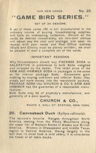 1904 Church & Co. Game Bird Series (J3) #20 Canvasback Duck Back