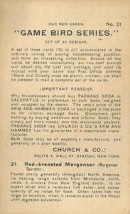 1904 Church & Co. Game Bird Series (J3) #21 Red-breasted Merganser Back