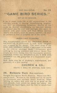 1904 Church & Co. Game Bird Series (J3) #24 Baldpate Duck Back