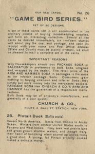 1904 Church & Co. Game Bird Series (J3) #26 Pintail Duck Back