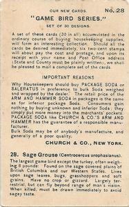 1904 Church & Co. Game Bird Series (J3) #28 Sage Grouse Back