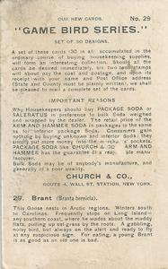 1904 Church & Co. Game Bird Series (J3) #29 Brant Back