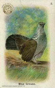 1908 Church & Dwight New Series of Birds (J4) #2 Blue Grouse Front