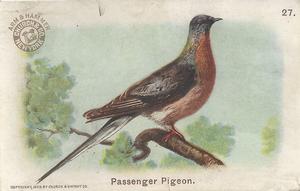 1908 Church & Dwight New Series of Birds (J4) #27 Passenger Pigeon Front
