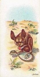 1900 Wills's Wild Animals of the World (Green Back) #NNO Jerboa Front