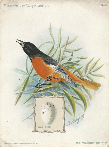 1898-00 The American Singer Series (H683) #2 Baltimore Oriole Front