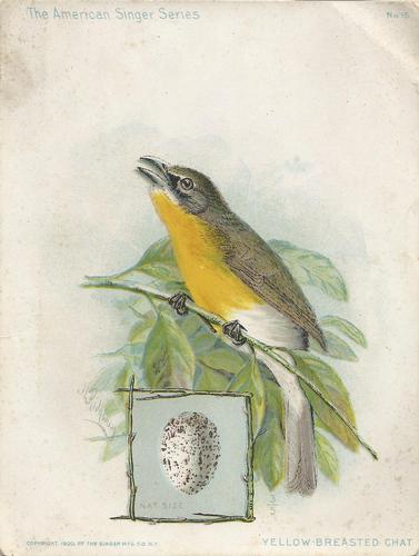 1898-00 The American Singer Series (H683) #15 Yellow-Breasted Chat Front