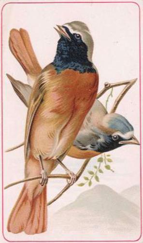 1890 Arbuckle's Coffee General Subjects (K9) #60 Redstarts Front