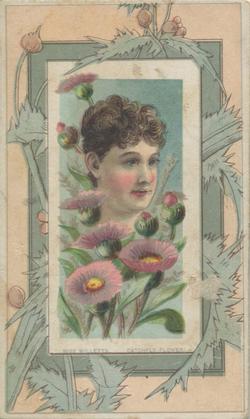 1888 W. Duke, Sons & Co. Fairest Flowers in the World (N106) #NNO Catchfly Flower / Miss Willetts Front