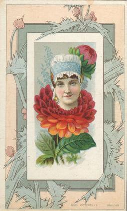 1888 W. Duke, Sons & Co. Fairest Flowers in the World (N106) #NNO Dahlias / Mathilde Cottrelly Front