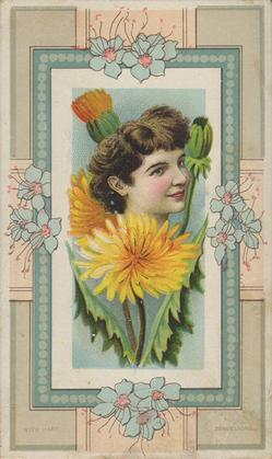 1888 W. Duke, Sons & Co. Fairest Flowers in the World (N106) #NNO Dandelions / Rita Hart Front