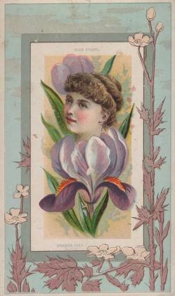 1888 W. Duke, Sons & Co. Fairest Flowers in the World (N106) #NNO Dragon Lily / Miss Engel Front