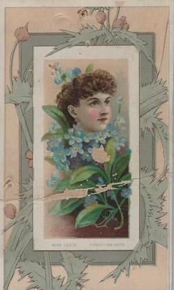 1888 W. Duke, Sons & Co. Fairest Flowers in the World (N106) #NNO Forget-Me-Not / Miss Lewis Front