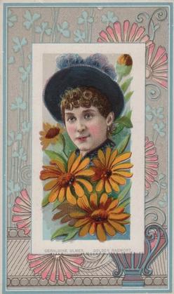 1888 W. Duke, Sons & Co. Fairest Flowers in the World (N106) #NNO Golden Ragwort / Geraldine Ulmer Front