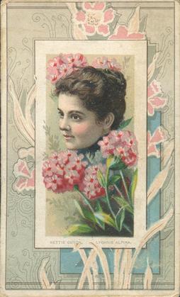 1888 W. Duke, Sons & Co. Fairest Flowers in the World (N106) #NNO Lychnis Aplina / Nettie Guyon Front