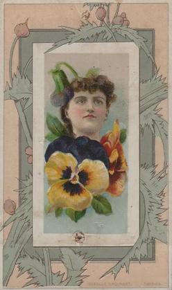 1888 W. Duke, Sons & Co. Fairest Flowers in the World (N106) #NNO Pansies / Isabelle Urquhart Front
