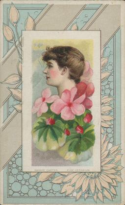 1888 W. Duke, Sons & Co. Fairest Flowers in the World (N106) #NNO Pink Geranium / Nannie Carter Front