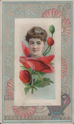 1888 W. Duke, Sons & Co. Fairest Flowers in the World (N106) #NNO Poppies / Mrs. J.B. Potter Front