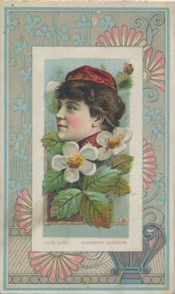 1888 W. Duke, Sons & Co. Fairest Flowers in the World (N106) #NNO Raspberry Blossoms / Kate Uart Front