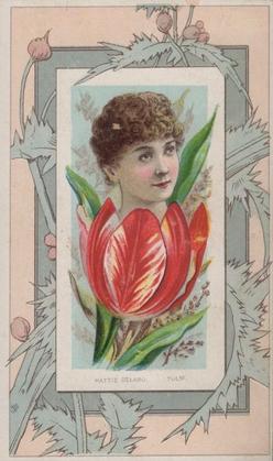 1888 W. Duke, Sons & Co. Fairest Flowers in the World (N106) #NNO Tulip / Hattie Delaro Front