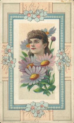 1888 W. Duke, Sons & Co. Fairest Flowers in the World (N106) #NNO Violet Asters / Isabelle Irving Front