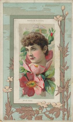 1888 W. Duke, Sons & Co. Fairest Flowers in the World (N106) #NNO Wild Rose / Estelle Clayton Front