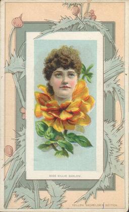 1888 W. Duke, Sons & Co. Fairest Flowers in the World (N106) #NNO Yellow Bachelor’s Button / Miss Billie Barlow Front