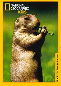 2017-18 National Geographic For Kids Dec-Jan #NNO Black-Tailed Prairie Dog Front