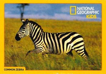 2017-18 National Geographic For Kids Dec-Jan #NNO Common Zebra Front