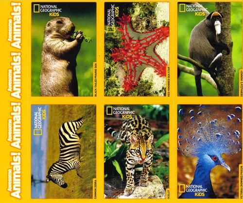 2017-18 National Geographic For Kids Dec-Jan - Full Panel #NNO Black-Tailed Prairie Dog / Common Zebra / Debrazza's Monkey / Ocelot / Red-Knobbed Sea Star / Victoria Crowned Pigeon Front