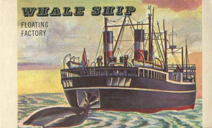 1955 Doeskin Rails & Sails (F378) #185 Whale Ship Front