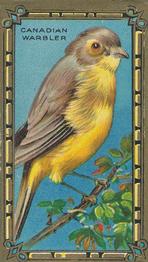 1910 American Tobacco Bird Series (T43) #NNO Canadian Warbler Front