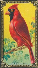 1910 American Tobacco Bird Series (T43) #NNO Cardinal Front