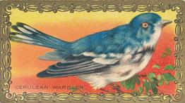 1910 American Tobacco Bird Series (T43) #NNO Cerulean Warbler Front