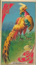 1910 American Tobacco Bird Series (T43) #NNO Pheasant Front
